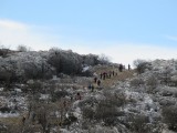 09. Nekima se ne žuri